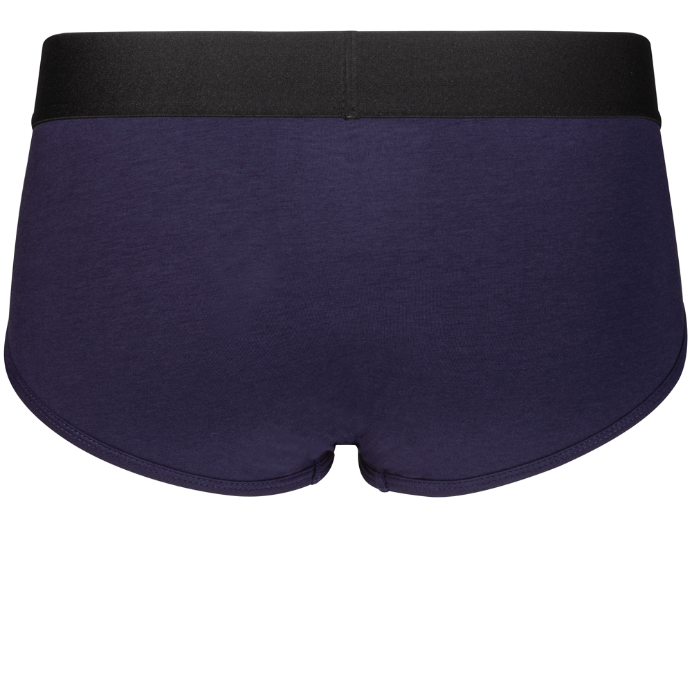 Brief+ Harness - Purple - RodeoH